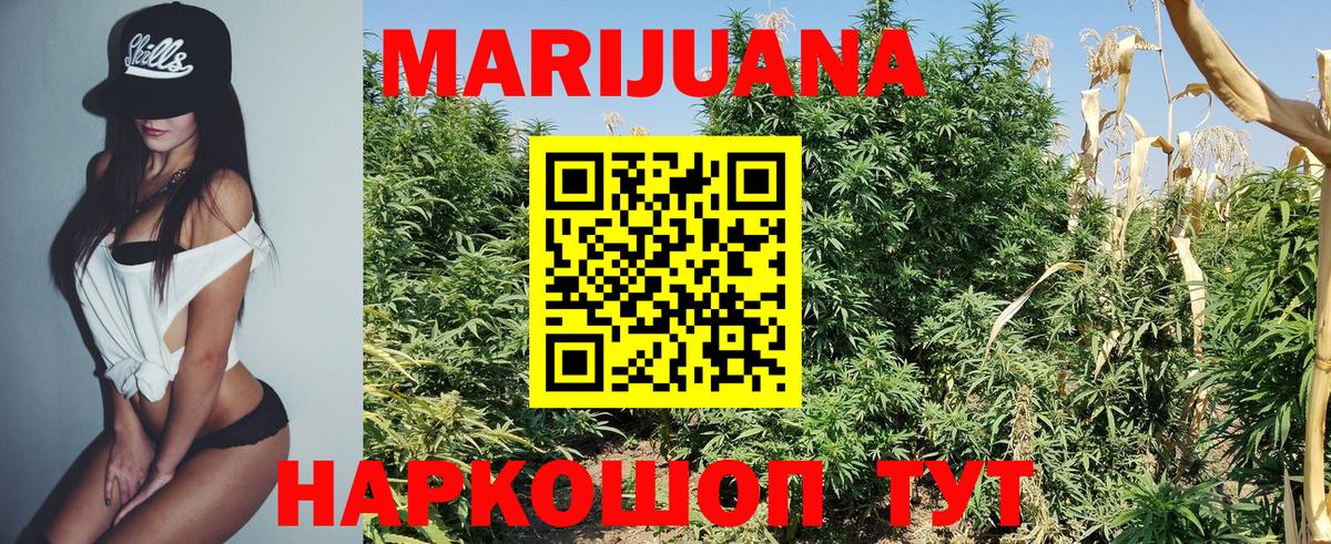 Славгород  Бошки Шишки тримм  Канабис THC 21%  Канабис марихуана  Вход с VPN  Шишки марихуана семена 